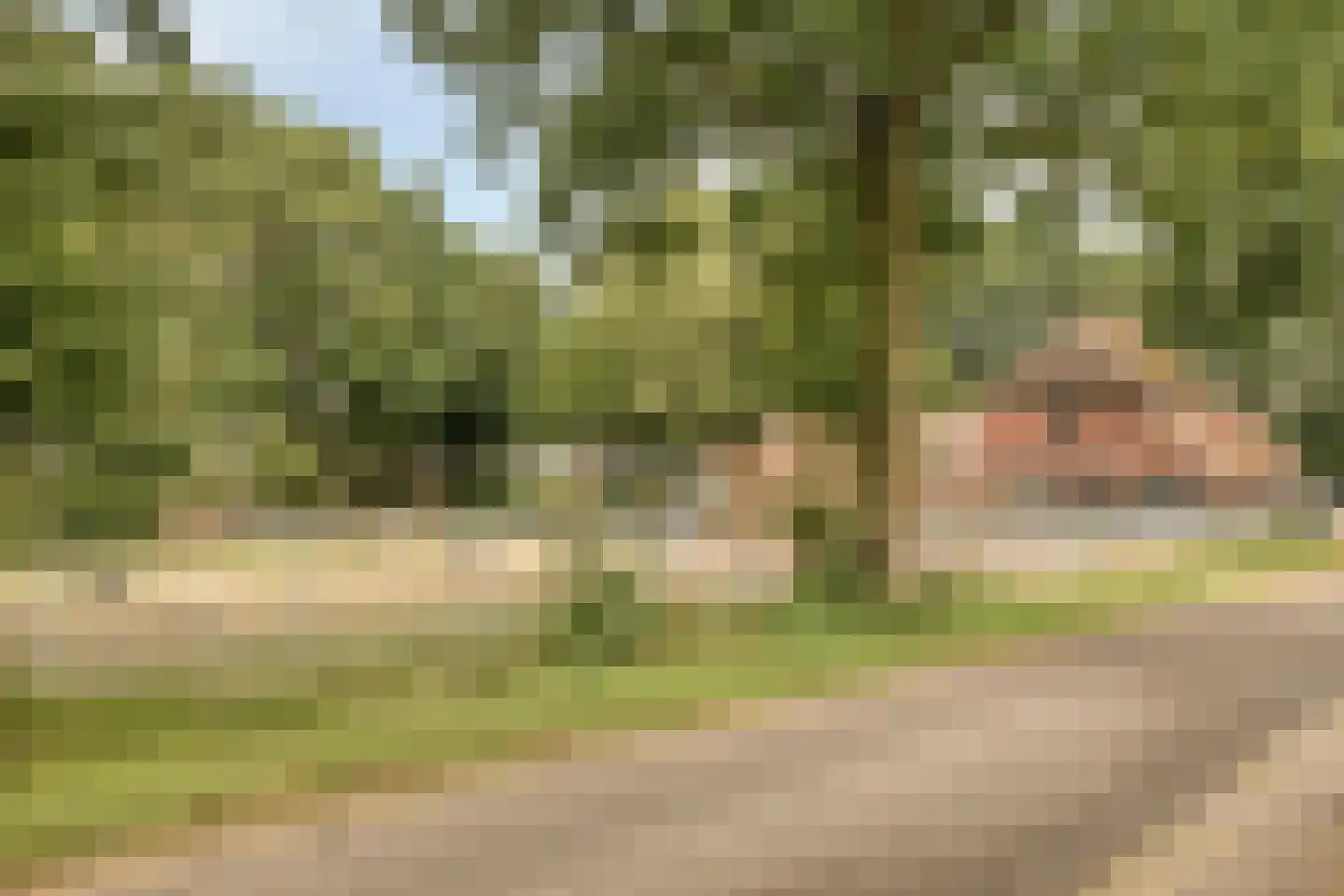 Pastoor Petersstraat 69 Rijssen thumbnail 40
