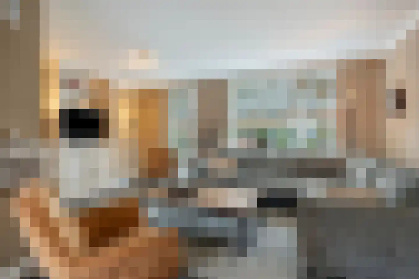 Pastoor Petersstraat 69 Rijssen thumbnail 6