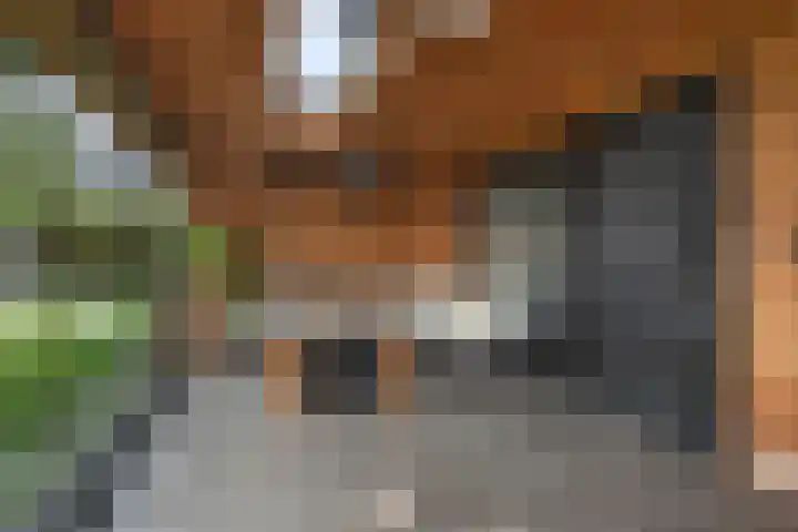 Pastoor Petersstraat 75 Rijssen thumbnail 33