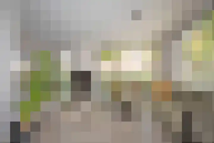 Pastoor Petersstraat 75 Rijssen thumbnail 7