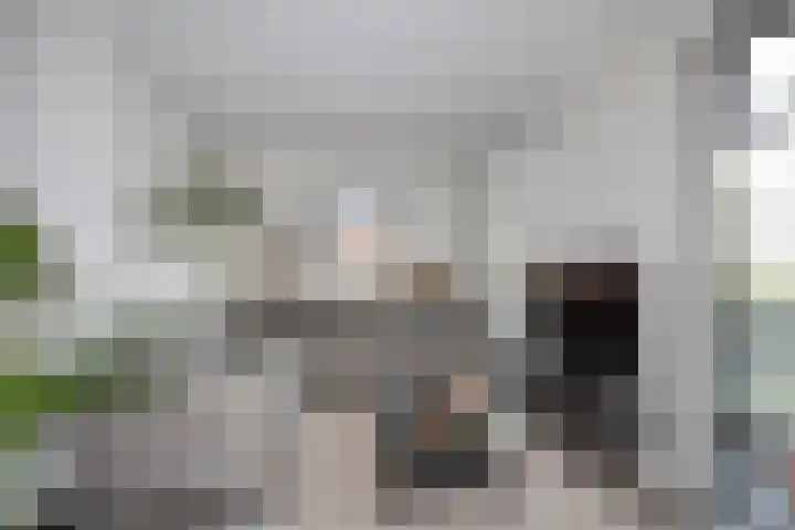 Pastoor Petersstraat 75 Rijssen thumbnail 8