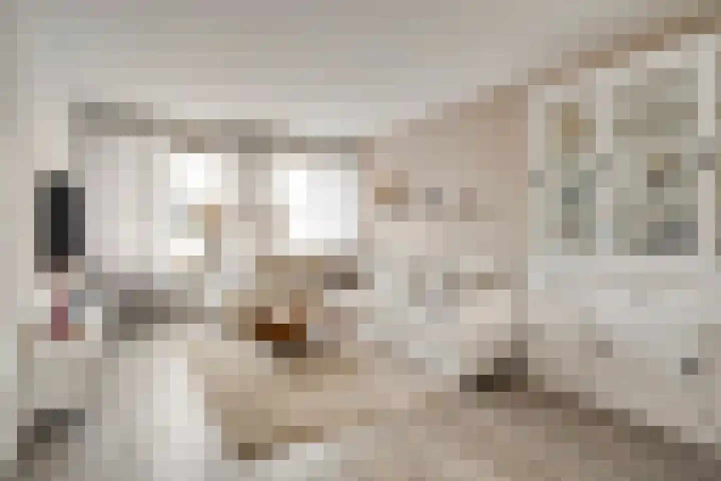 Pastoor Petrus Stevensstraat 2 Meerssen thumbnail 11