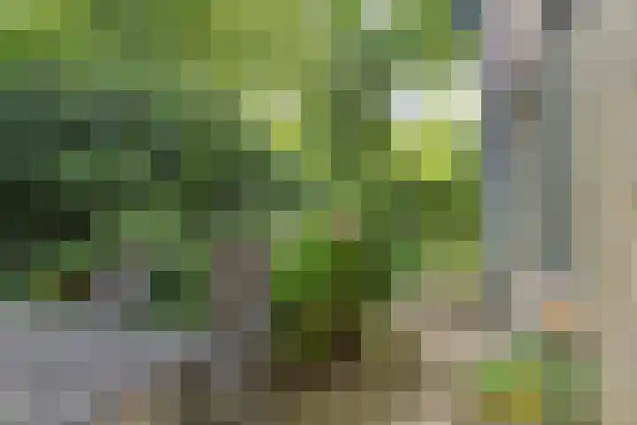 Pastoor Pieckweg 22 Hoogland thumbnail 29