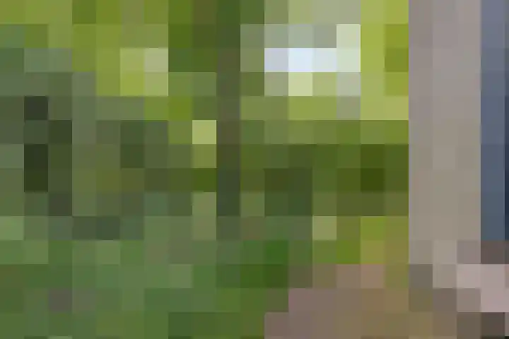 Pastoor Pieckweg 22 Hoogland thumbnail 30
