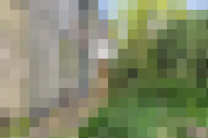 Pastoor Pieckweg 22 Hoogland thumbnail 31
