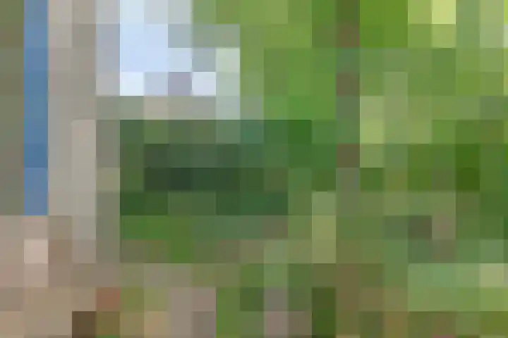 Pastoor Pieckweg 22 Hoogland thumbnail 32