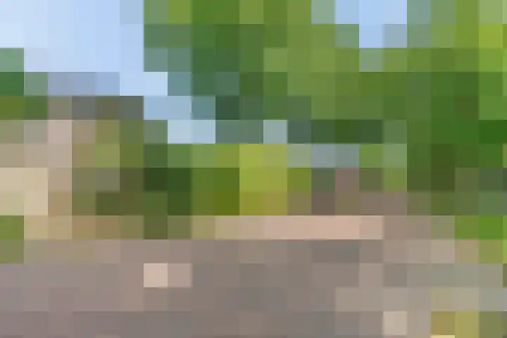 Pastoor Pieckweg 22 Hoogland thumbnail 6