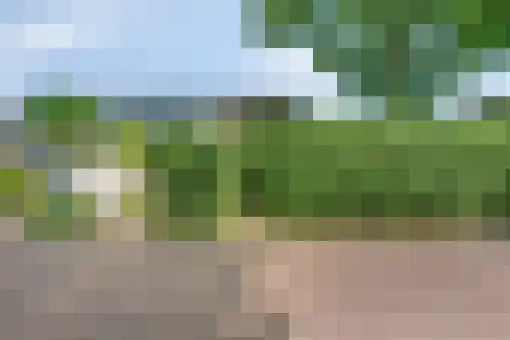 Pastoor Pieckweg 22 Hoogland thumbnail 7