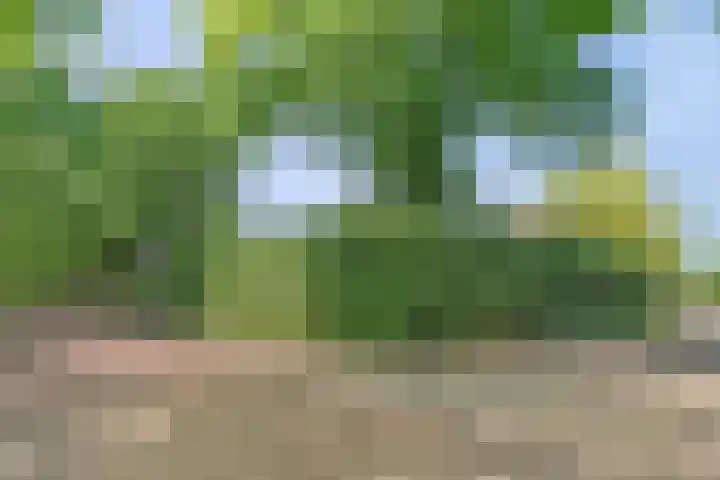 Pastoor Pieckweg 22 Hoogland thumbnail 8
