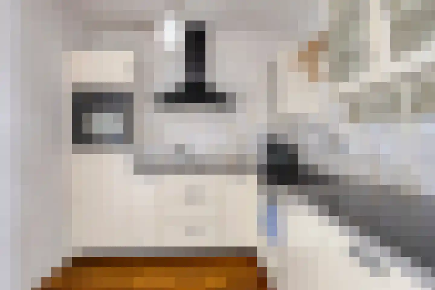Pastoor Pottersplein 10 C17 Breda thumbnail 12