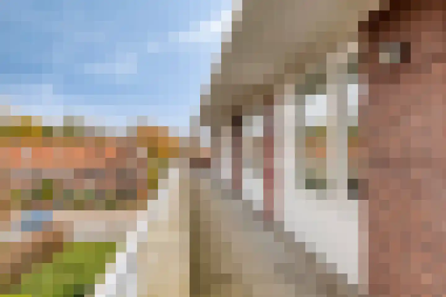 Pastoor Pottersplein 10 C17 Breda thumbnail 27