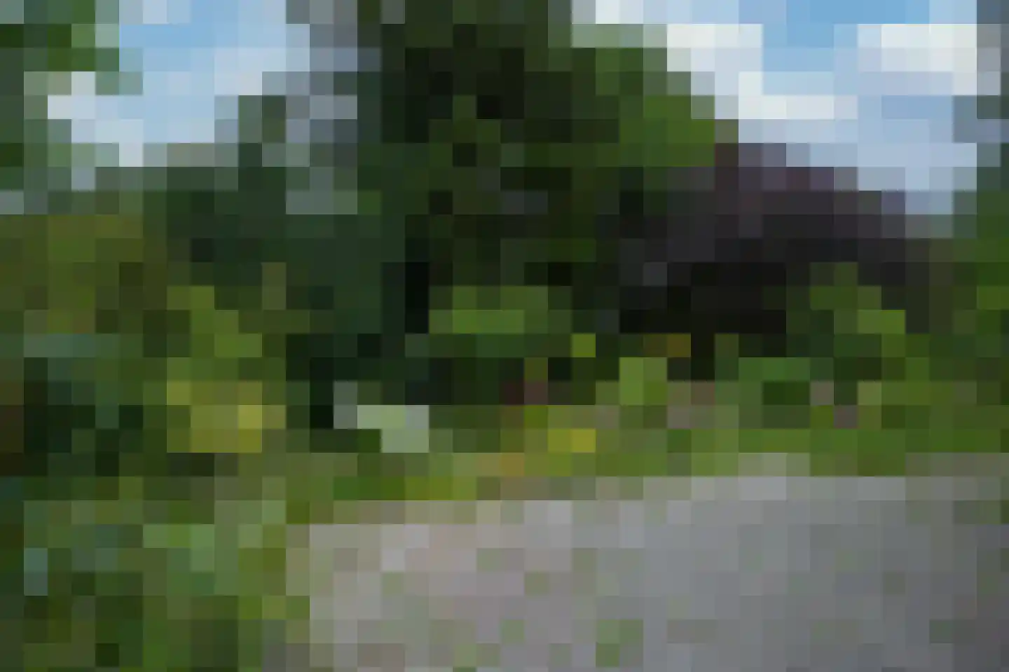 Pastoor Prickaertsstraat 3 Vaals thumbnail 23