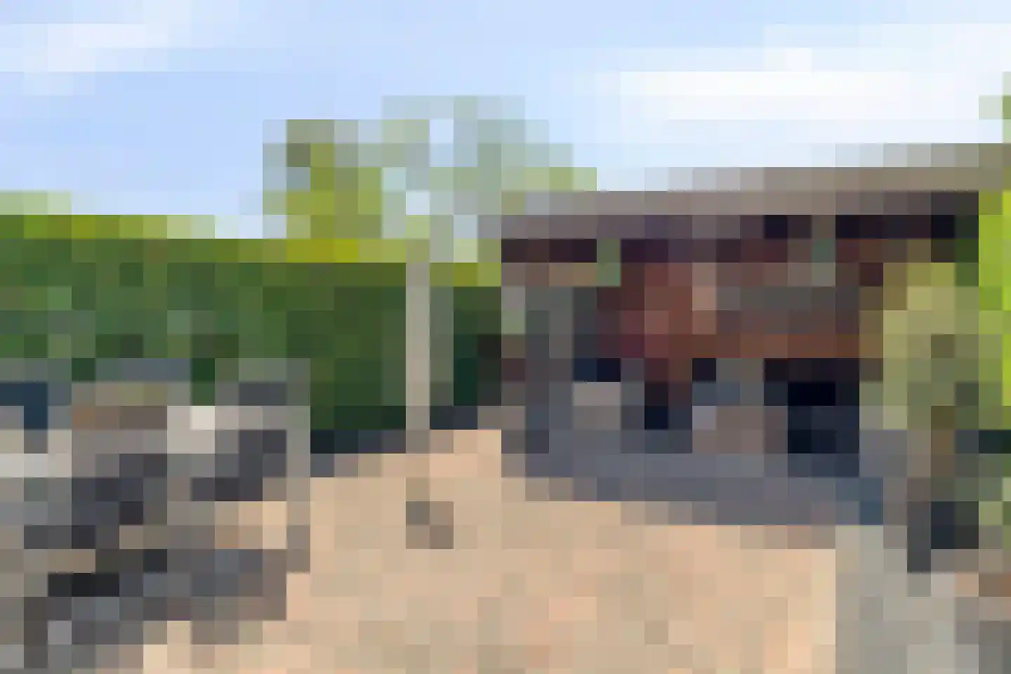 Pastoor Reijnsstraat 19 Standdaarbuiten thumbnail 33