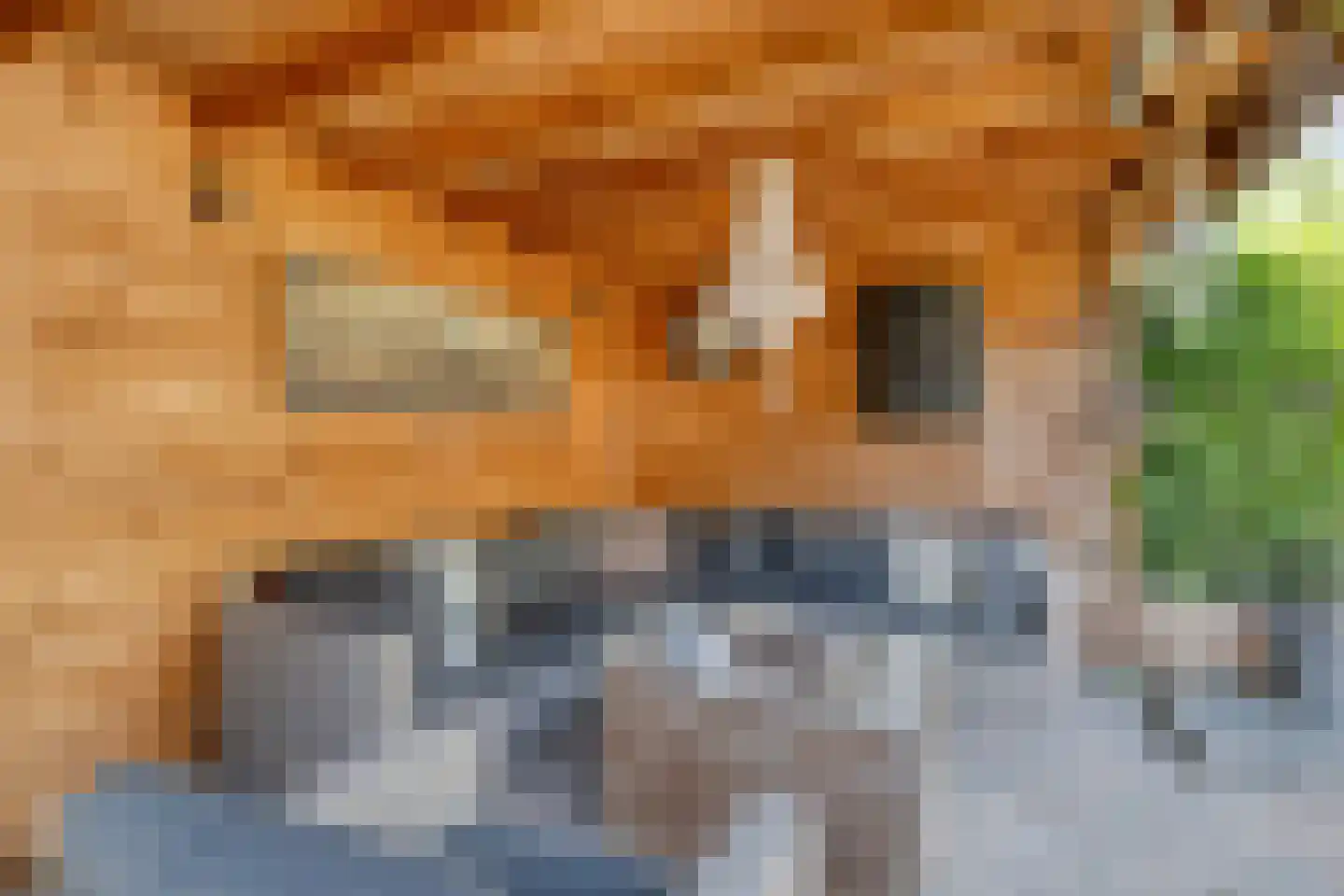 Pastoor Reijnsstraat 19 Standdaarbuiten thumbnail 36