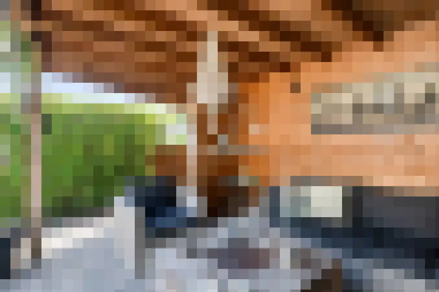 Pastoor Reijnsstraat 19 Standdaarbuiten thumbnail 37