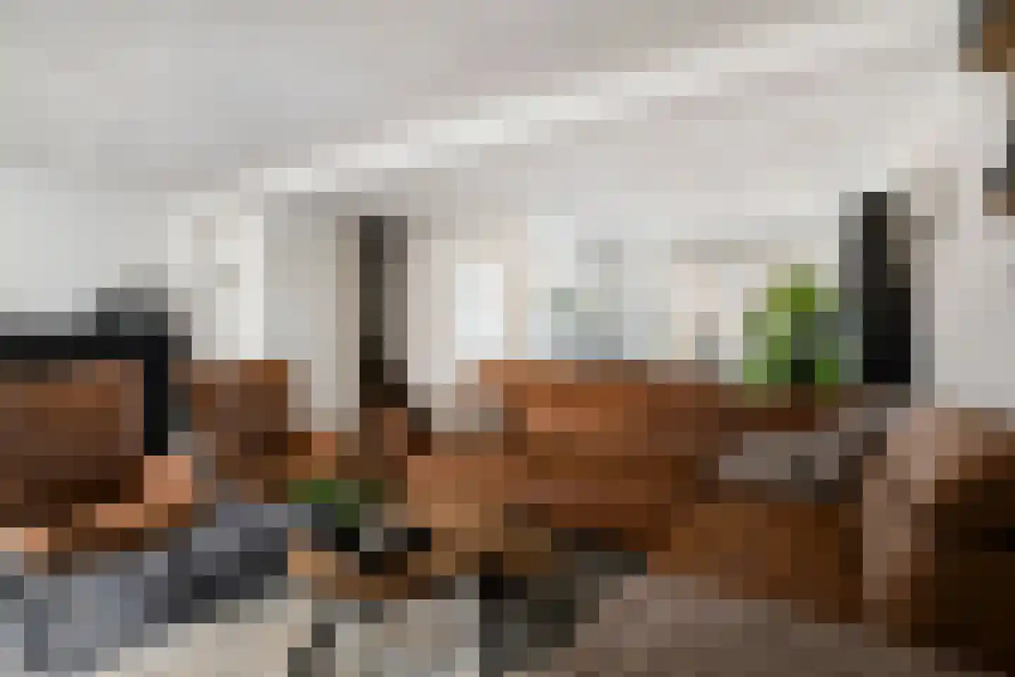Pastoor Reijnsstraat 19 Standdaarbuiten thumbnail 8