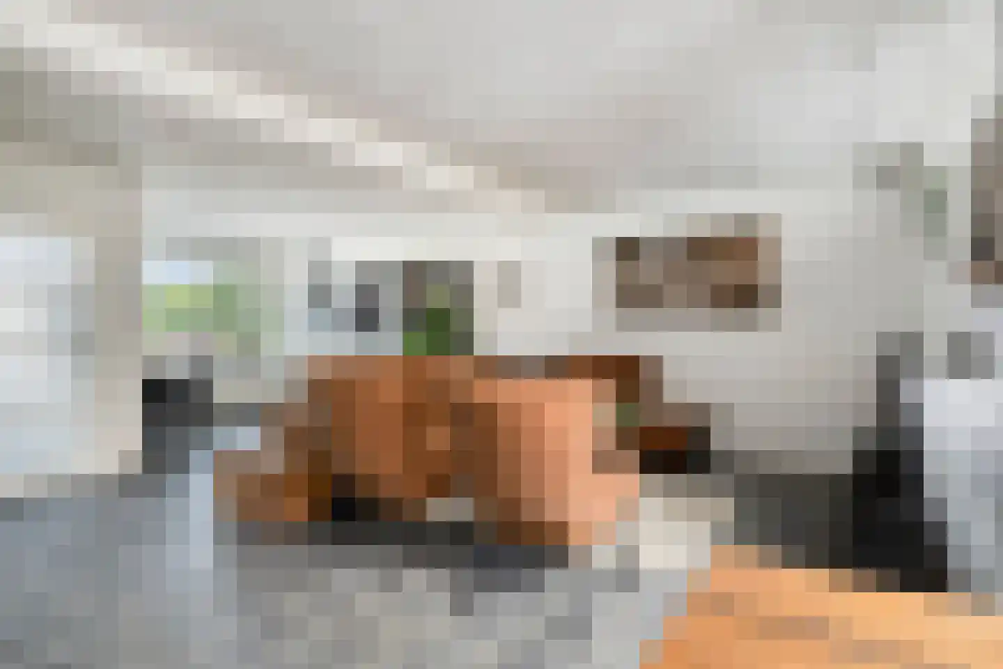 Pastoor Reijnsstraat 19 Standdaarbuiten thumbnail 9