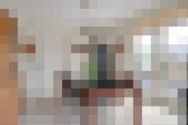 Pastoor Reintjesstraat 15 Siebengewald thumbnail 16