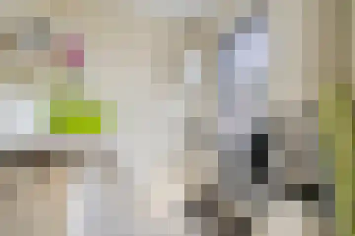 Pastoor Reintjesstraat 15 Siebengewald thumbnail 21