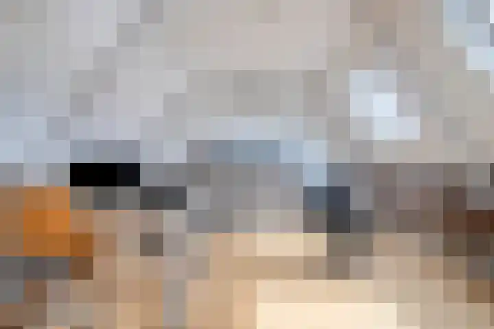Pastoor Reintjesstraat 15 Siebengewald thumbnail 31