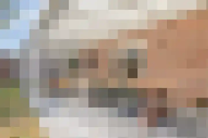 Pastoor Reintjesstraat 15 Siebengewald thumbnail 39