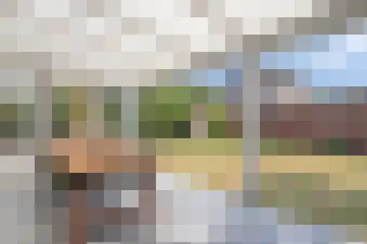 Pastoor Reintjesstraat 15 Siebengewald thumbnail 40