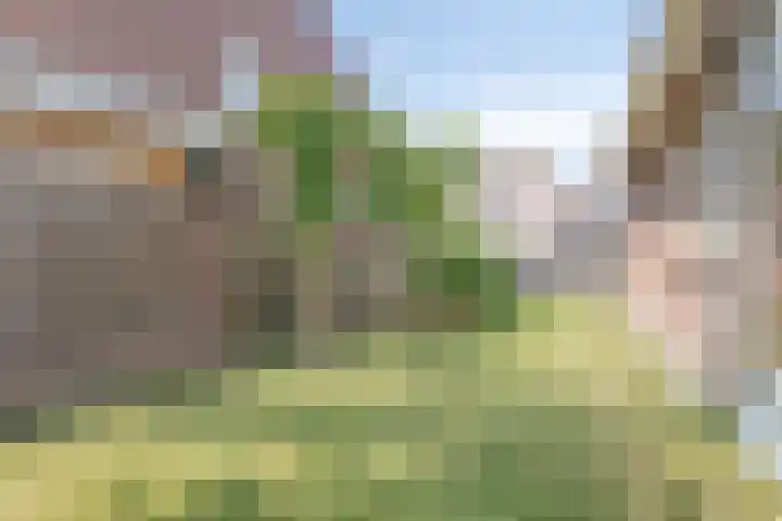 Pastoor Reintjesstraat 15 Siebengewald thumbnail 43