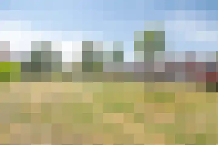 Pastoor Reintjesstraat 15 Siebengewald thumbnail 48