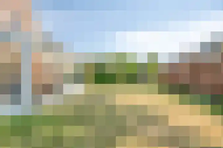 Pastoor Reintjesstraat 15 Siebengewald thumbnail 6
