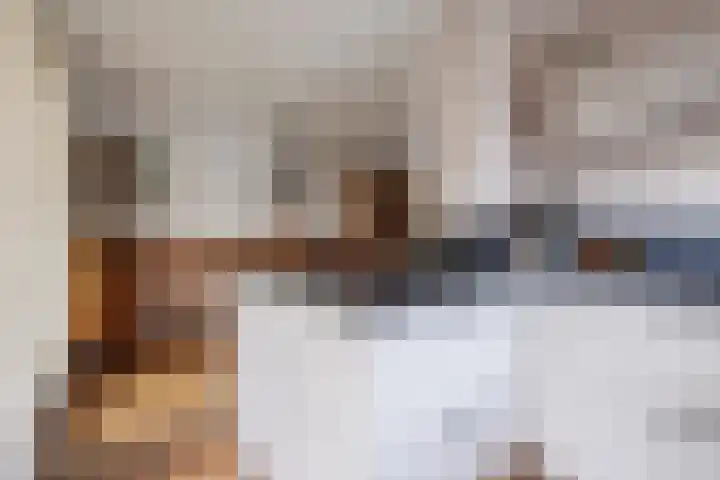 Pastoor Reintjesstraat 18 Siebengewald thumbnail 21