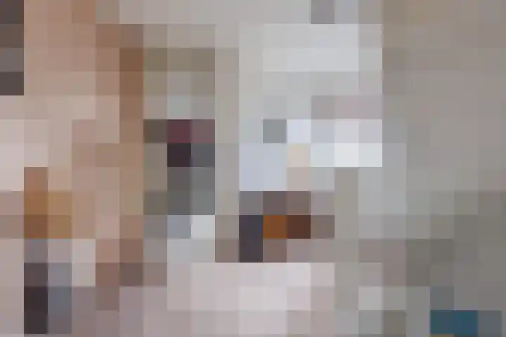 Pastoor Reintjesstraat 18 Siebengewald thumbnail 23