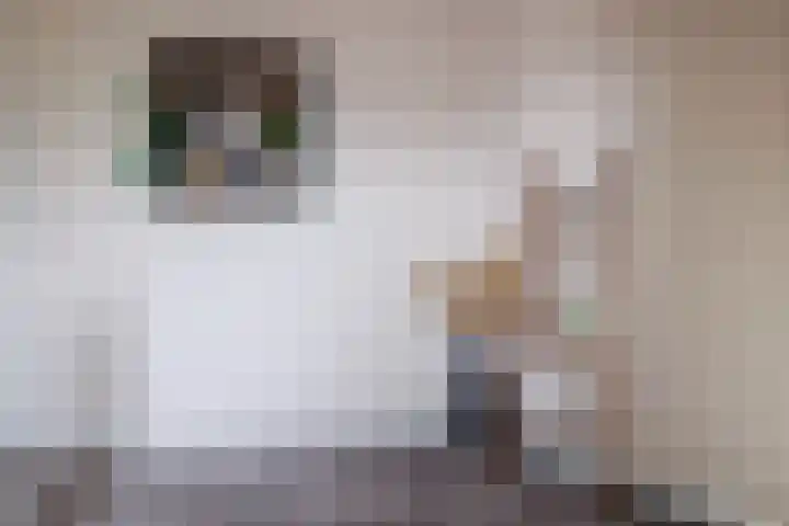 Pastoor Reintjesstraat 18 Siebengewald thumbnail 24