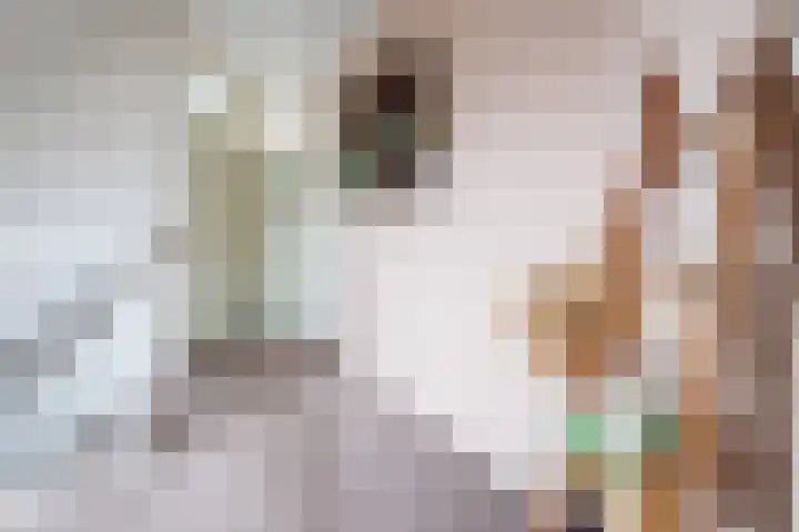 Pastoor Reintjesstraat 18 Siebengewald thumbnail 25