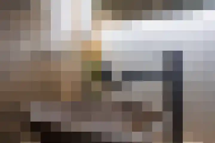 Pastoor Reintjesstraat 18 Siebengewald thumbnail 34