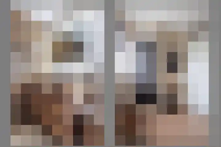 Pastoor Reintjesstraat 18 Siebengewald thumbnail 35