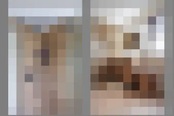 Pastoor Reintjesstraat 18 Siebengewald thumbnail 37