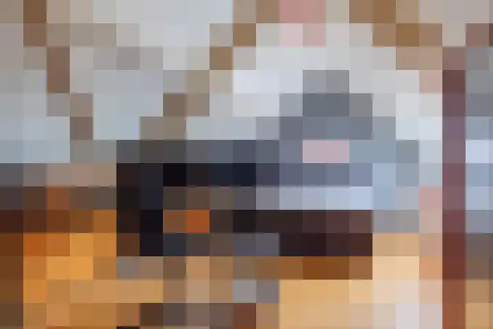 Pastoor Reintjesstraat 18 Siebengewald thumbnail 38