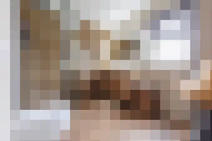 Pastoor Reintjesstraat 18 Siebengewald thumbnail 4