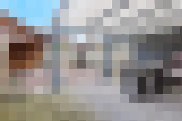 Pastoor Reintjesstraat 18 Siebengewald thumbnail 42