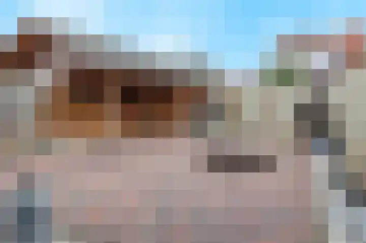 Pastoor Reintjesstraat 18 Siebengewald thumbnail 45