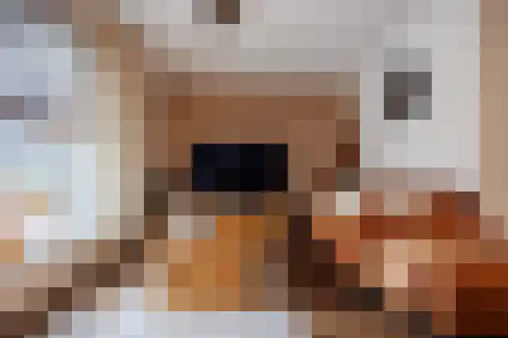 Pastoor Reintjesstraat 18 Siebengewald thumbnail 9