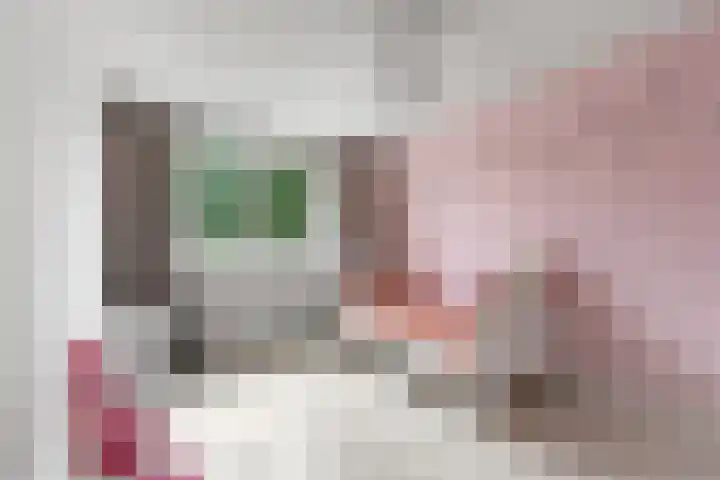 Pastoor Reintjesstraat 8 Siebengewald thumbnail 16