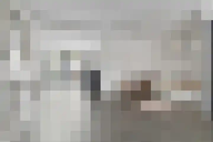 Pastoor Reintjesstraat 8 Siebengewald thumbnail 9