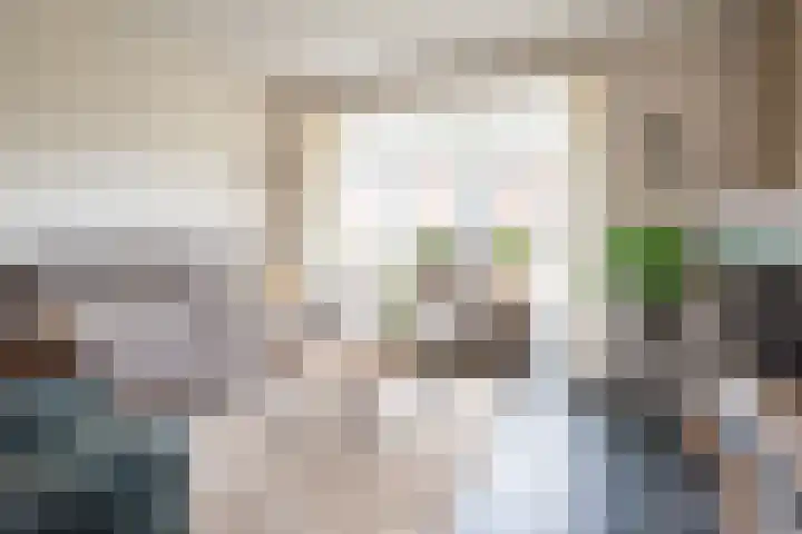 Pastoor Reulinkstraat 30 Varsselder thumbnail 10