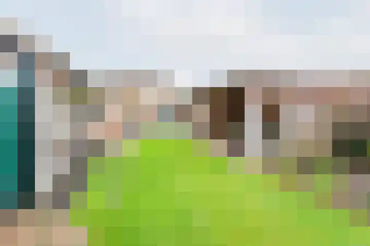 Pastoor Reulinkstraat 30 Varsselder thumbnail 4