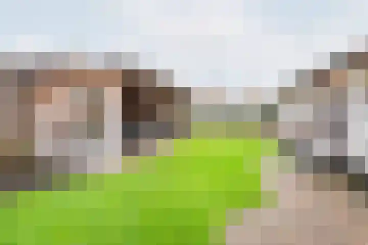 Pastoor Reulinkstraat 30 Varsselder thumbnail 42