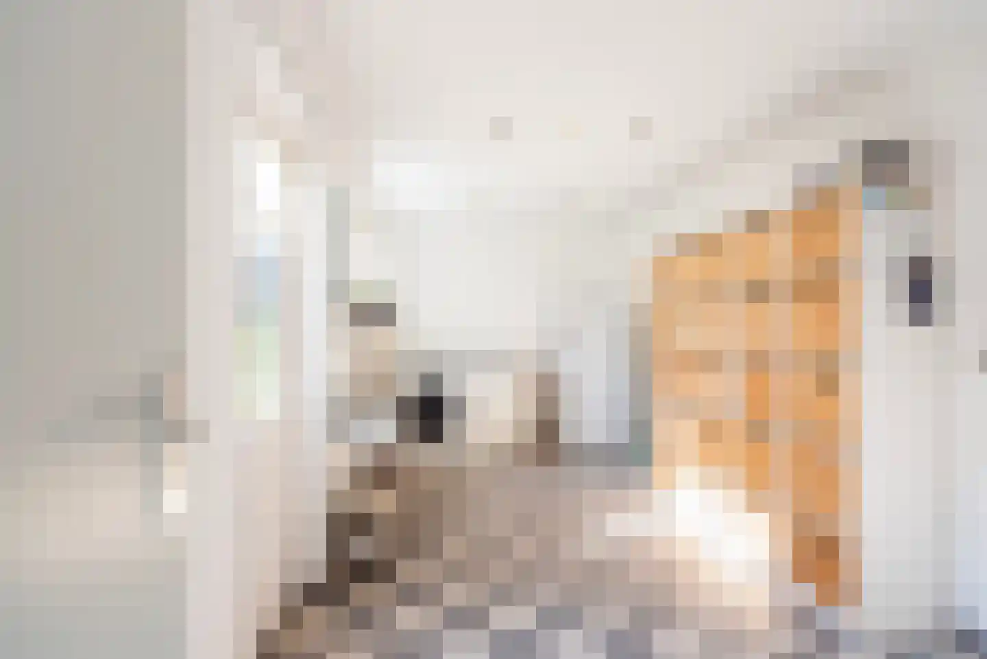 Pastoor Reulinkstraat 4 Varsselder thumbnail 17