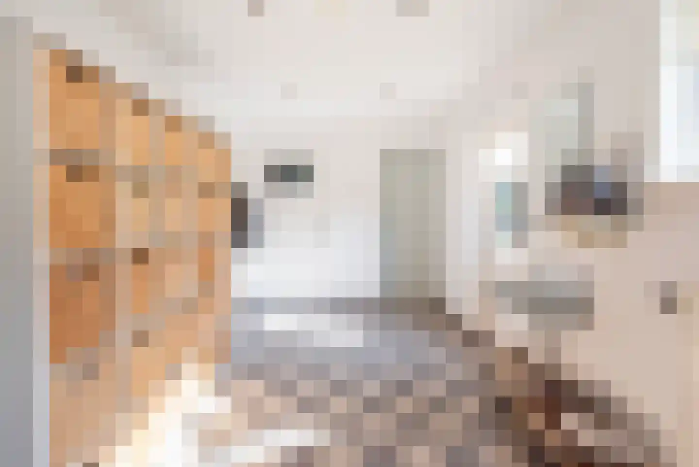 Pastoor Reulinkstraat 4 Varsselder thumbnail 18