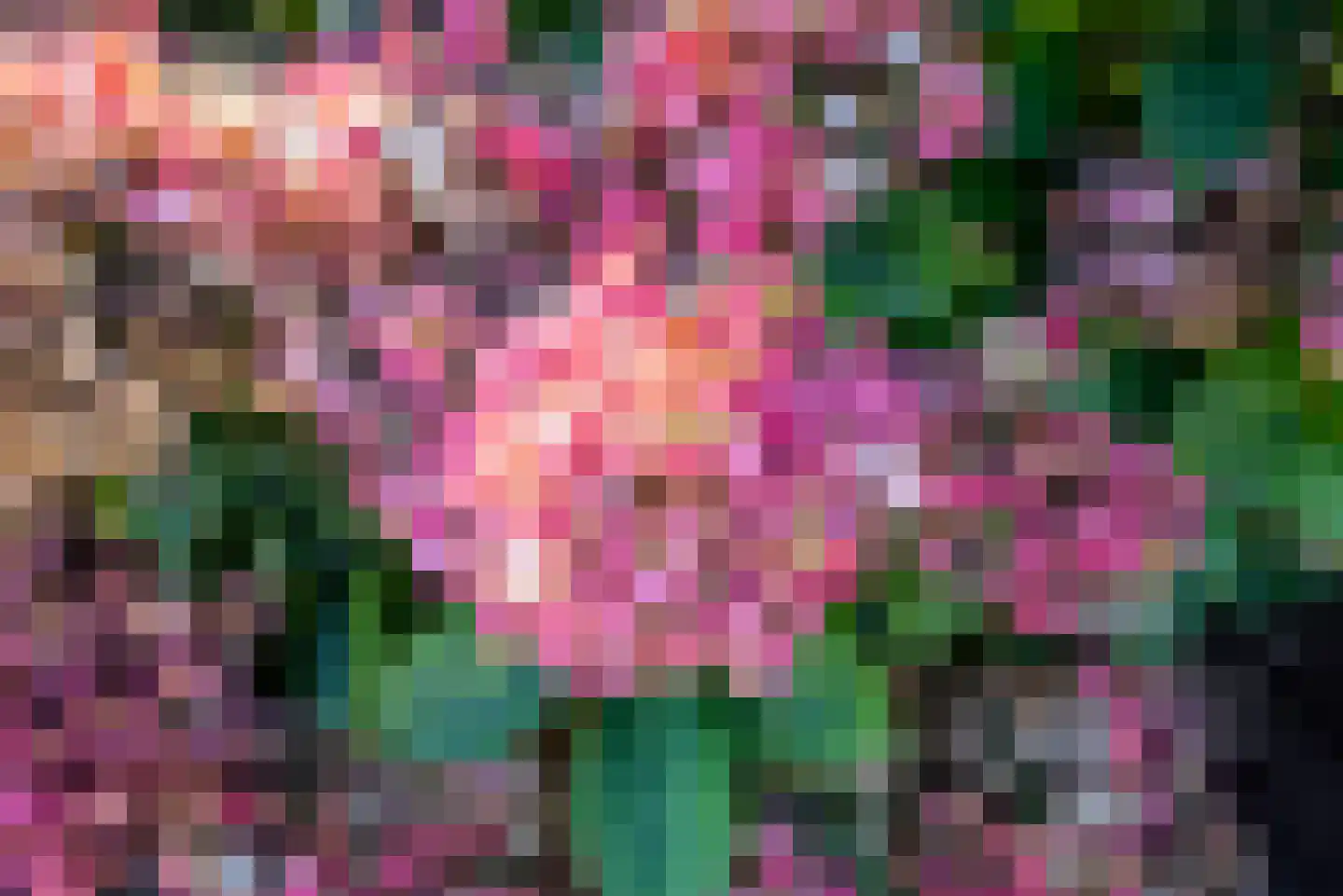 Pastoor Reulinkstraat 4 Varsselder thumbnail 34