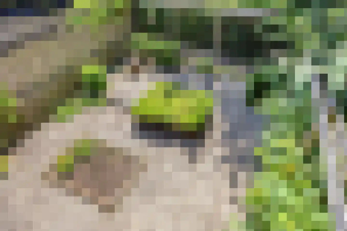 Pastoor Ribberghstraat 3 Valkenburg thumbnail 22